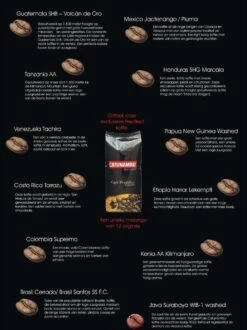 Catunambú Predilect Koffiebonen 1 Kilo - Premium Kwaliteit - Horecakoffie Voor Thuis - Ultiem Koffiegenot 9 Catunambú Predilect Koffiebonen 1 Kilo - Premium Kwaliteit - Horecakoffie Voor Thuis - Ultiem Koffiegenot -Koffie Series Winkel 897x1200 1